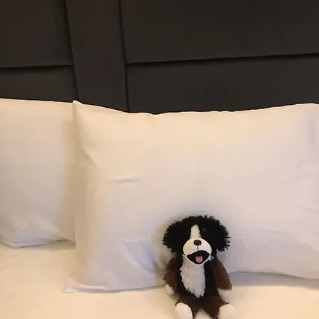 Hotel O&o Zentrum